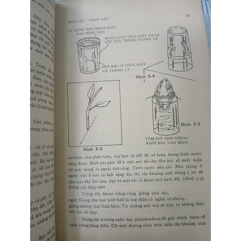DẠY KHOA HỌC CĂN BẢN - RITA LANGLEY 735328