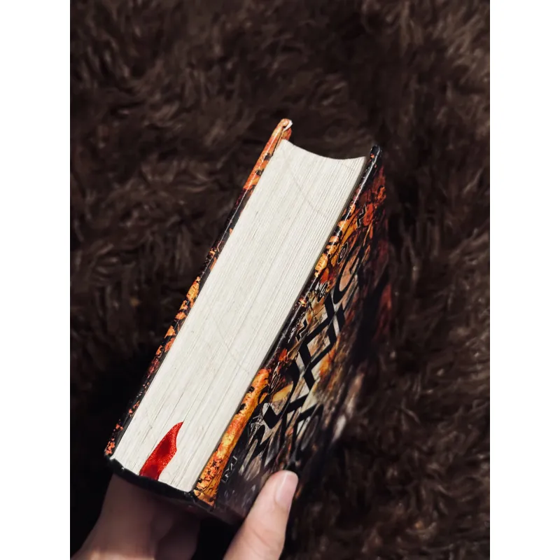 Rừng xanh lá đỏ 1001641