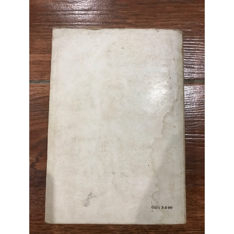Đi thăm đất nước - Hoàng Đạo Thúy (9) 466012