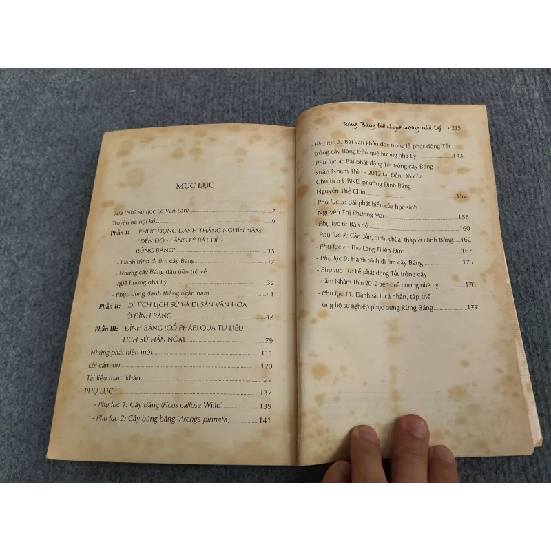 RỪNG BÁNG TRỞ VỀ QUÊ HƯƠNG NHÀ LÝ 993177