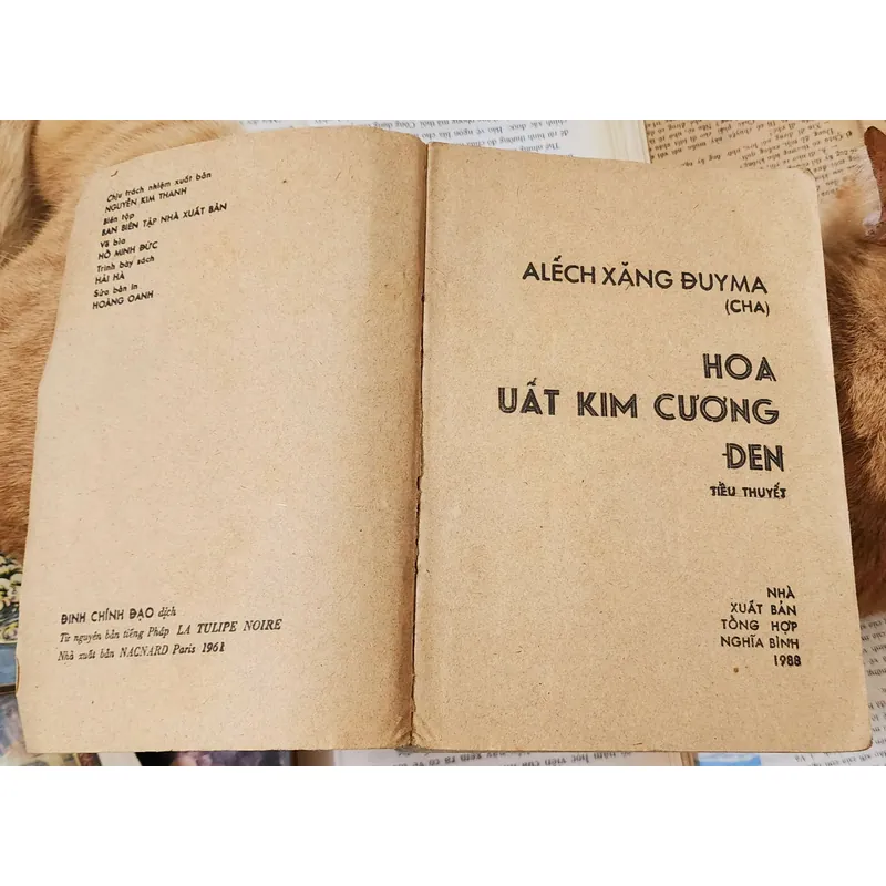 Alexandre Dumas cha - HOA UẤT KIM CƯƠNG ĐEN 703486