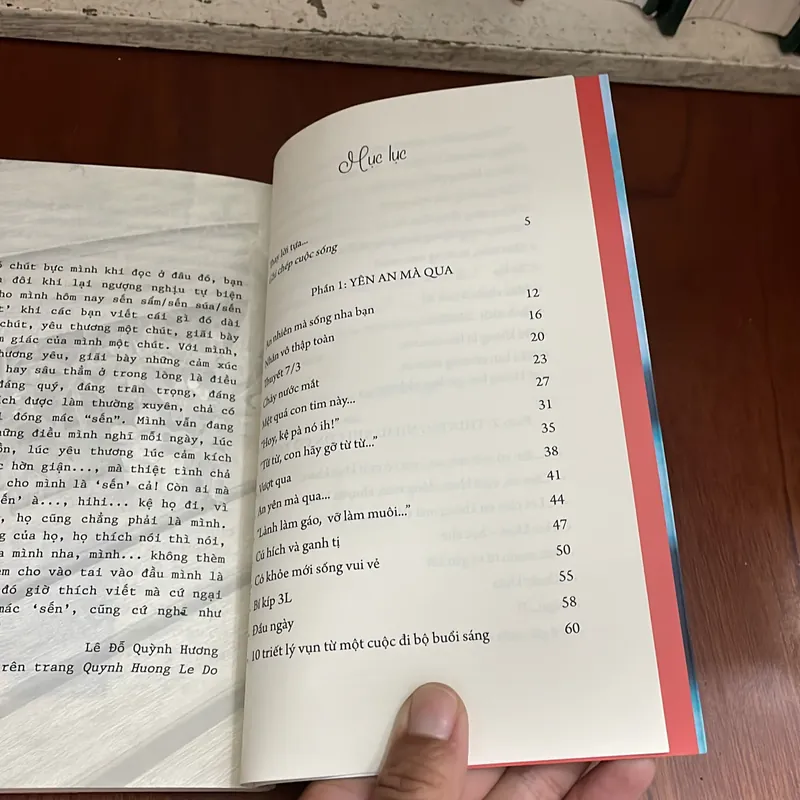 II Tựa sách: An Nhiên Mà Sống - Lê Đỗ Quỳnh Hương - 2019 576898