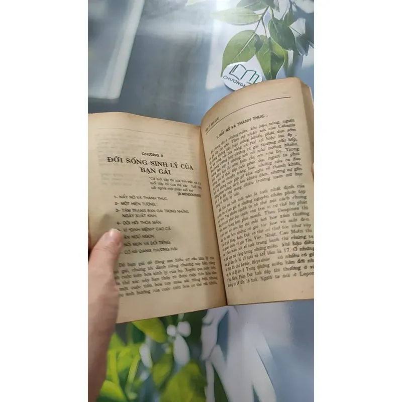 [XƯA] Tâm Lý Bạn Gái (1995) - Hoàng Xuân Việt 776058