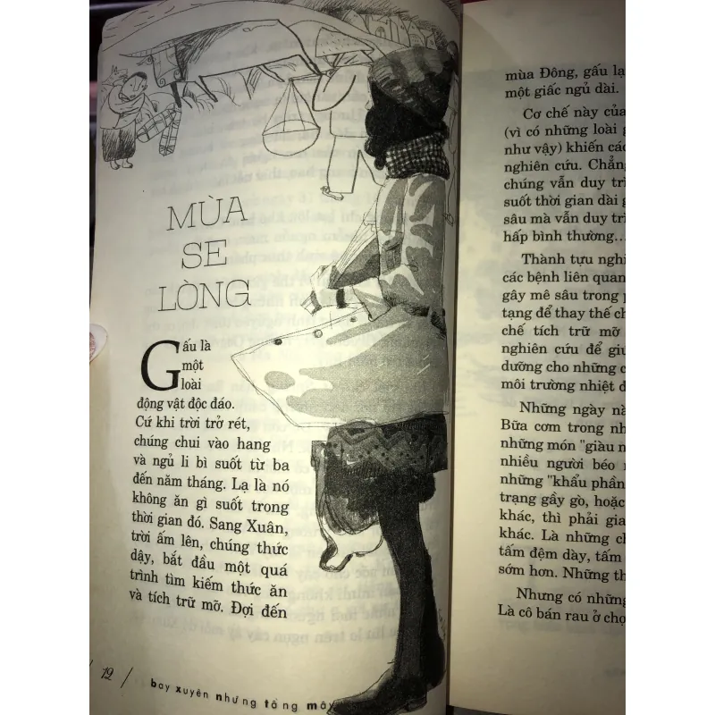 Bay xuyên những tầng mây - Hà Nhân 1002235