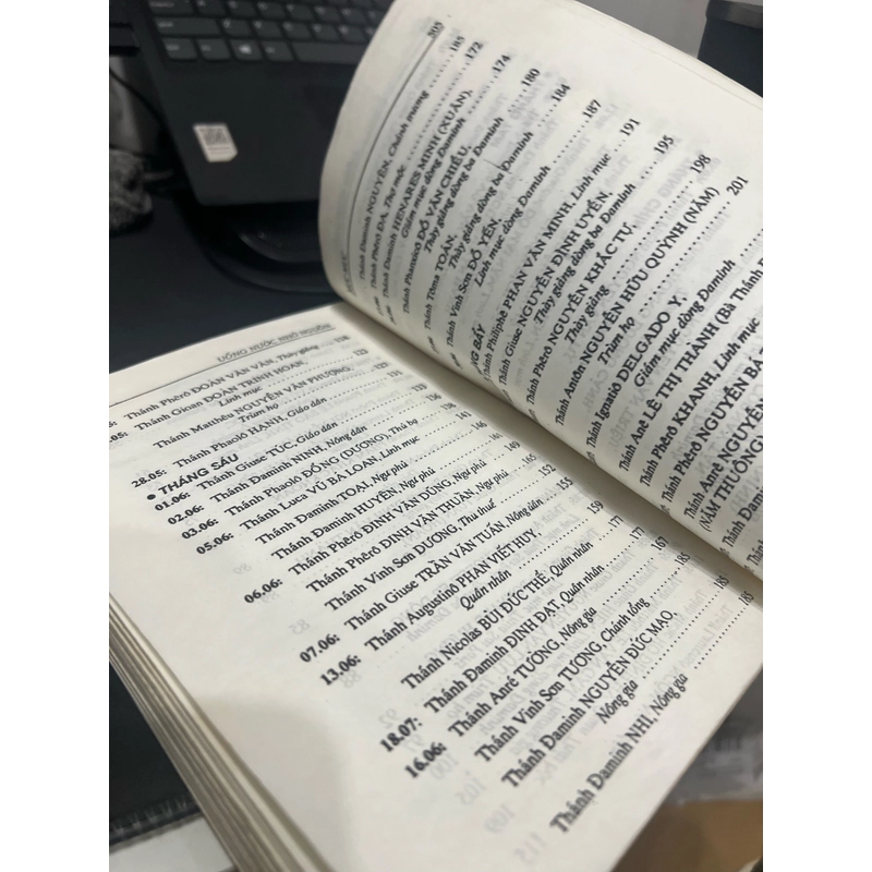 Thiên Hùng Sử - 117 Hiển thánh tử đạo Việt Nam 499203