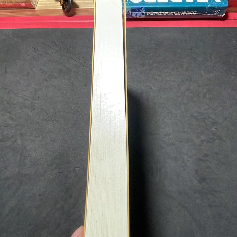 Khát vọng sống Irving Stone 291038