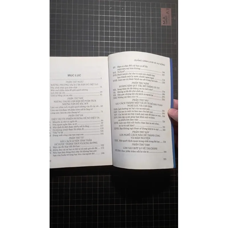 Quảng gánh lo đi và vui sống 715774