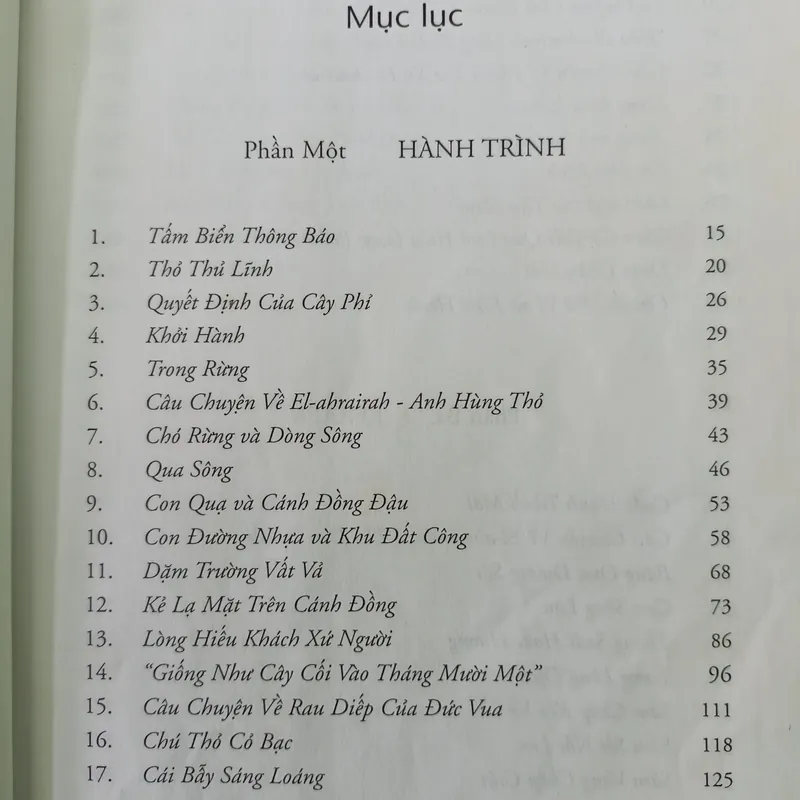 Đồi thỏ    589112