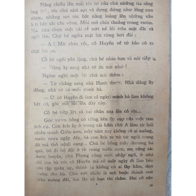 QUẦNG TRĂNG LƠ 548522