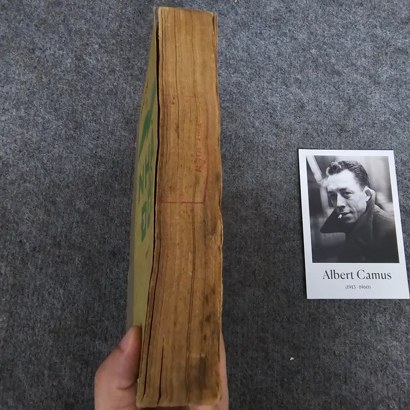 Nhà đồi - quang dũng 1025014