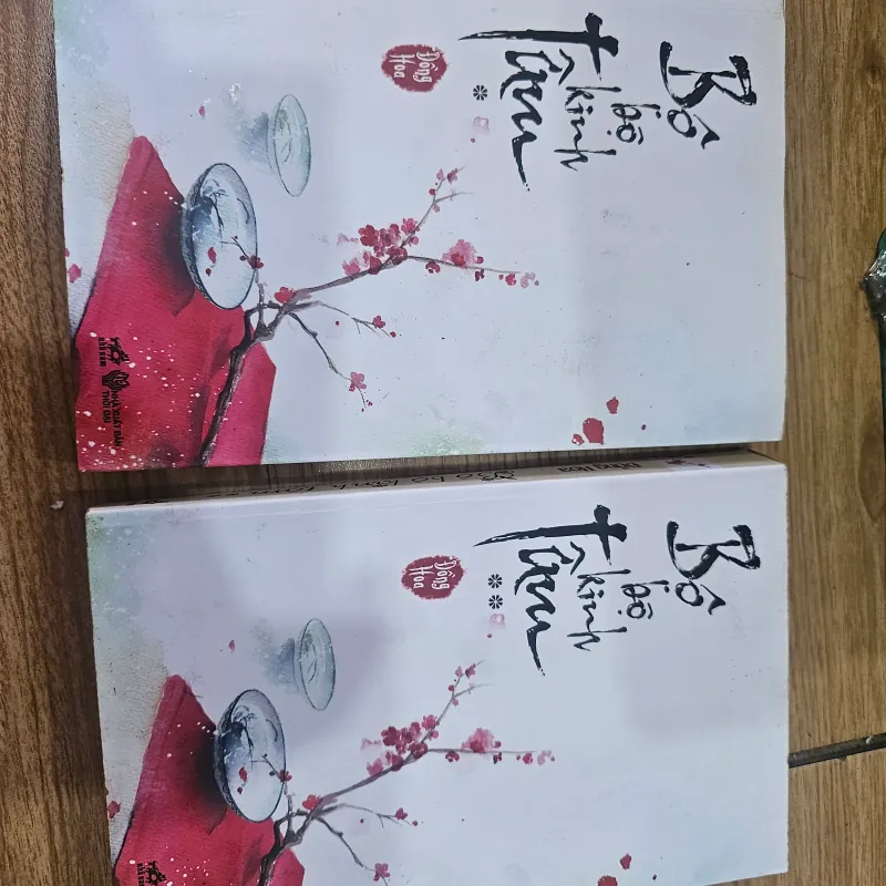 Bộ bộ kinh tâm trọn bộ 2 tập - Đồng Hoa
200k 936420
