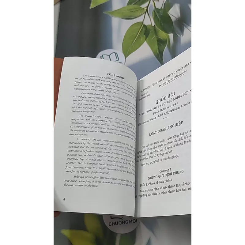 Luật Doanh nghiệp (Song ngữ Việt - Anh) 688498