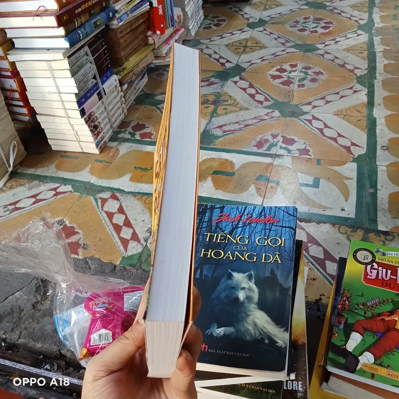 Trên Sa Mạc Và Trong Rừng Thẳm- Henrich Sienkievich 574056