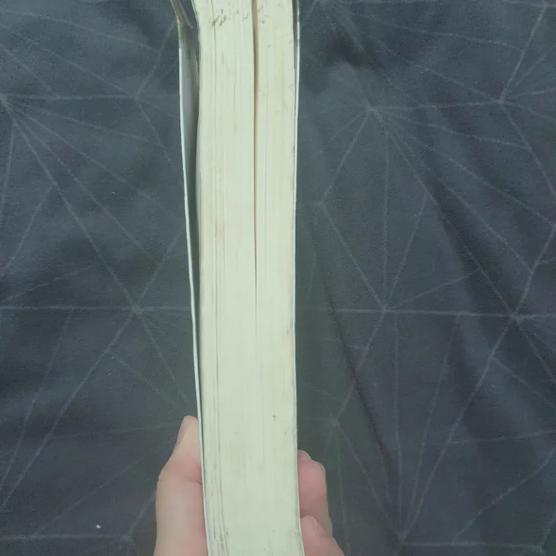 "Người kế tiếp" - Ngô Đồng Tư Ngữ 576129
