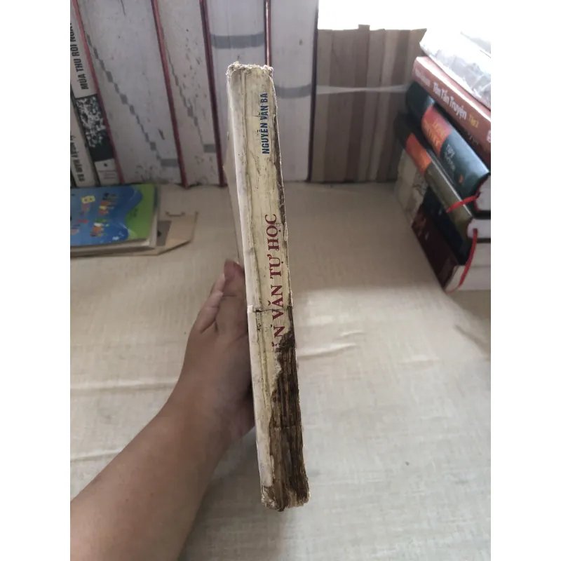 Hán Văn tự học 993492