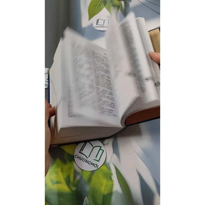 Từ Điển Việt - Anh - Bùi Phụng 749584