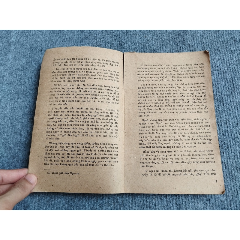 BỈ VỎ - NGUYÊN HỒNG 540669