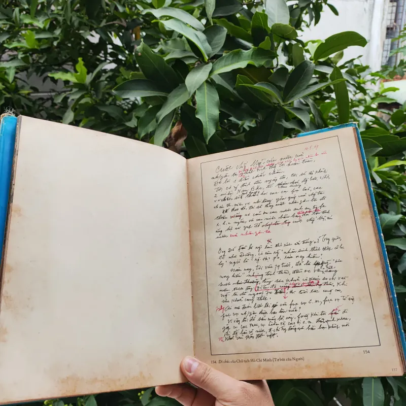 Dưới Lá Cờ Vẻ Vang Của Đảng 706340