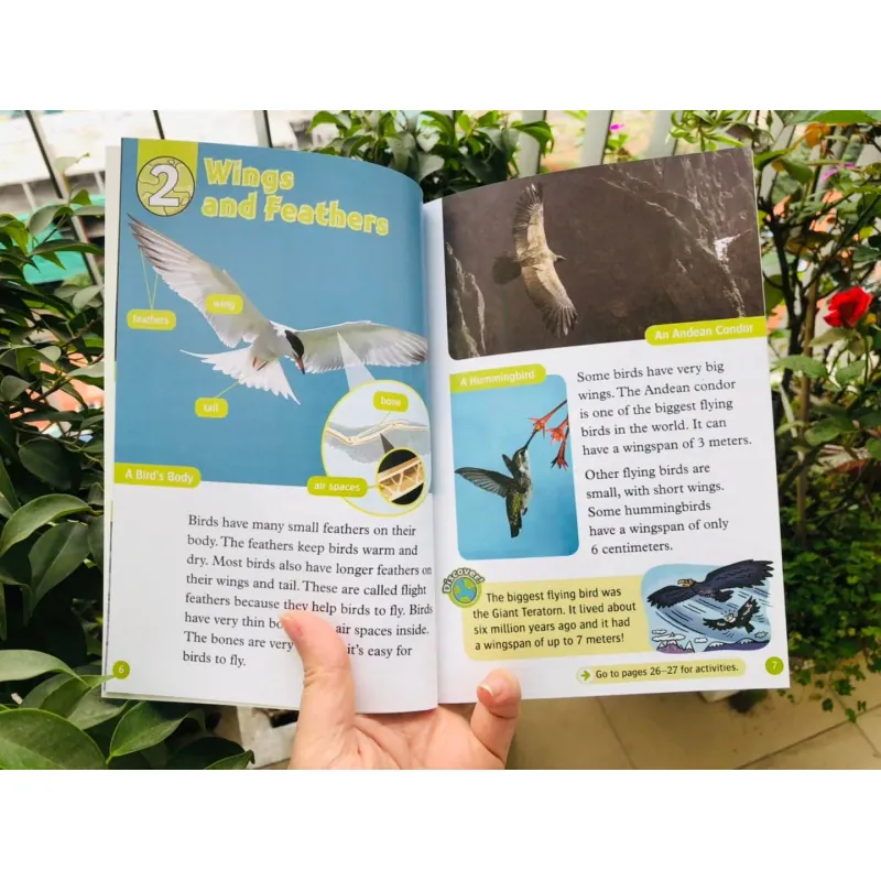 Oxford read and discover (Sách nhập) - Level 3 - 20 quyển + File Mp3 1038351