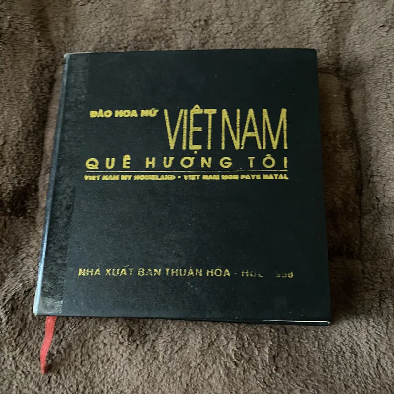 Việt Nam quê hương tôi 601578