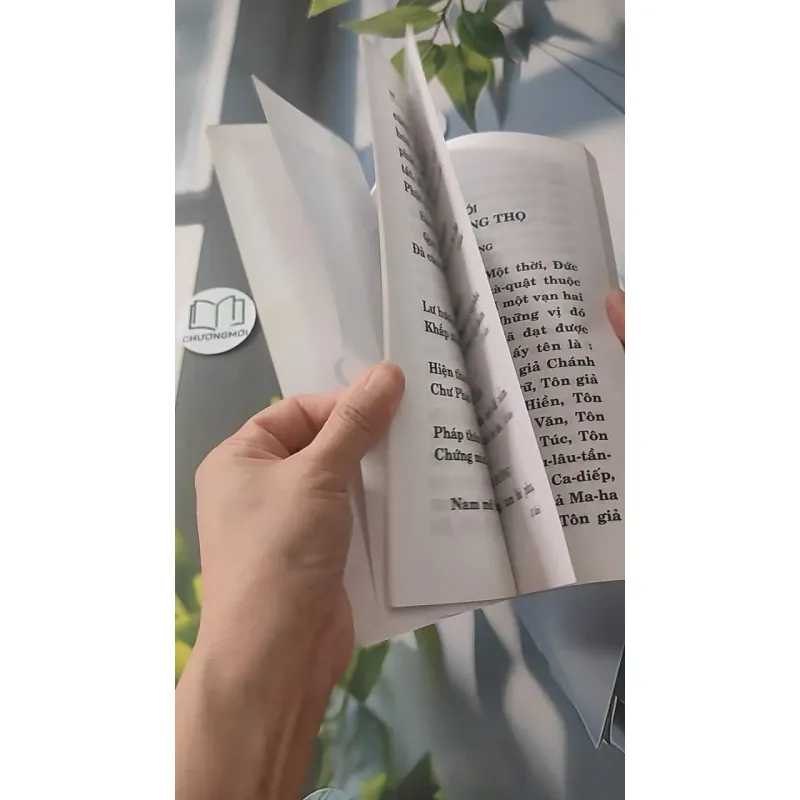 Kinh Vô Lượng Thọ - Thích Tuệ Đăng (Dịch) 928502