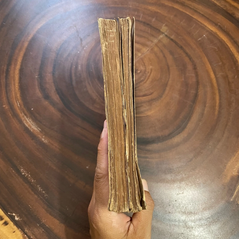 II Tựa sách: Chăm Sóc Sức Khoẻ - DAVID WERNER - 1987 445327