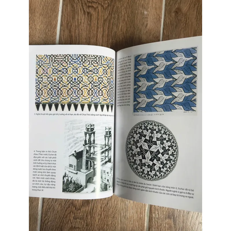 Khát Vọng Tới Cái Vô Hạn -  Trịnh Xuân Thuận 737988