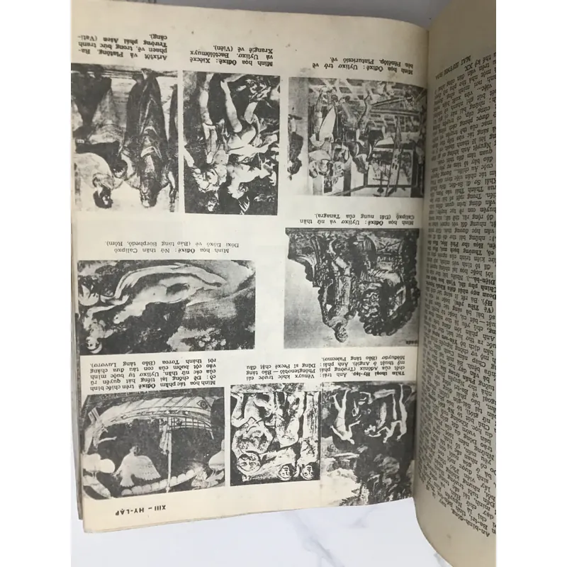 Từ điển Văn Học Việt Nam - bộ 2 tập (sách đẹp, nhiều hình ảnh) 674035