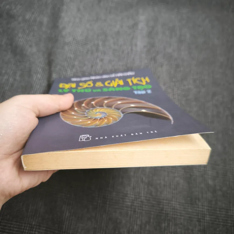 Đại số & Giải tích Lý thú và Sáng tạo (Tập 2)- Nhà giáo Nhân dân Lê Hải Châu - Giá bìa 60k 560918