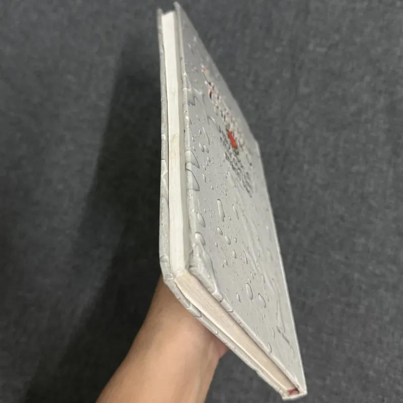 Hãy bước đi như con tim mách bảo (Bìa cứng) - Susanna Tamaro 907821