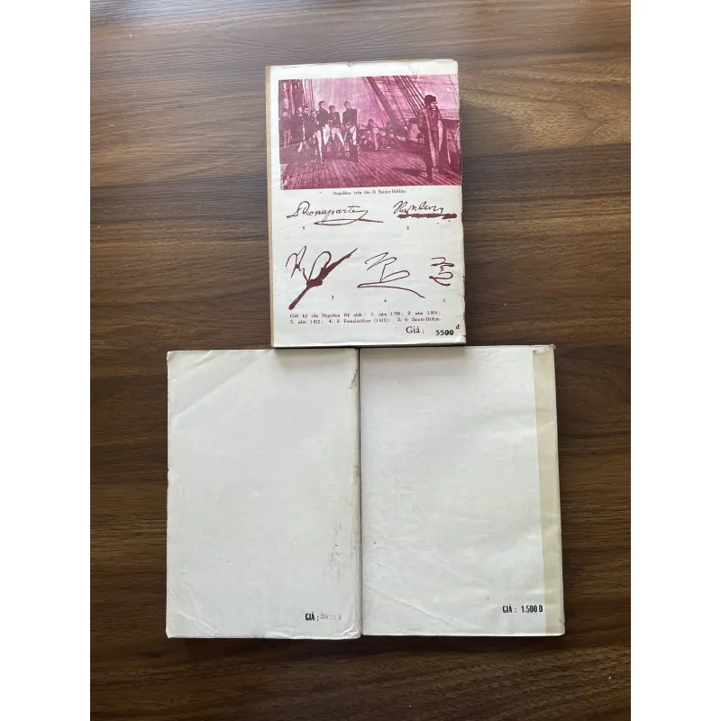 Mối tình đầu của Naopoléon - Annemarie Selinko 989848