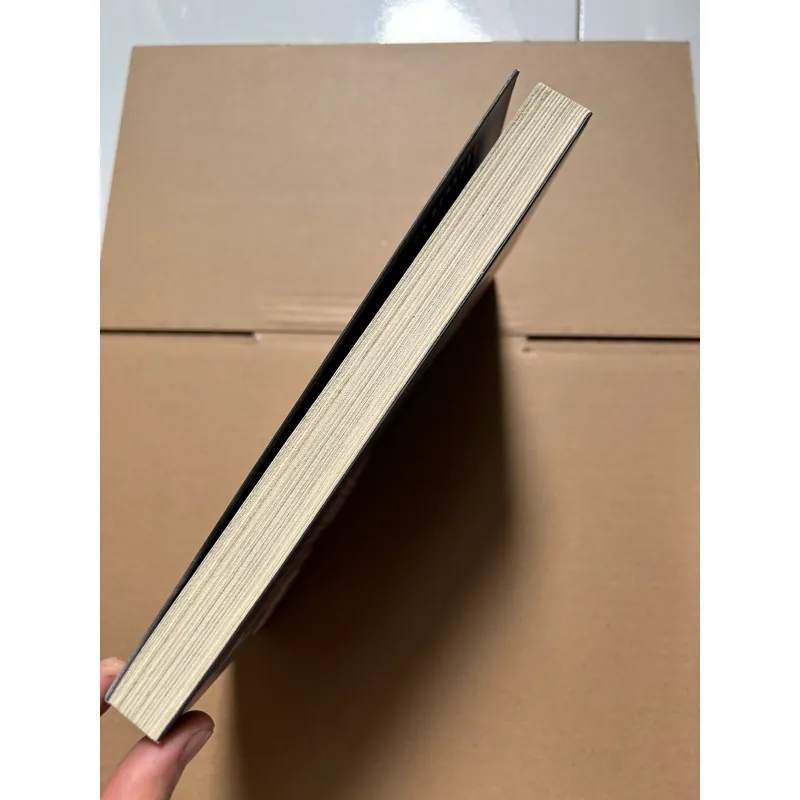 KIMI RAIKKONEN Tay đua vô địch F1 - Kari Hotakainen 747128