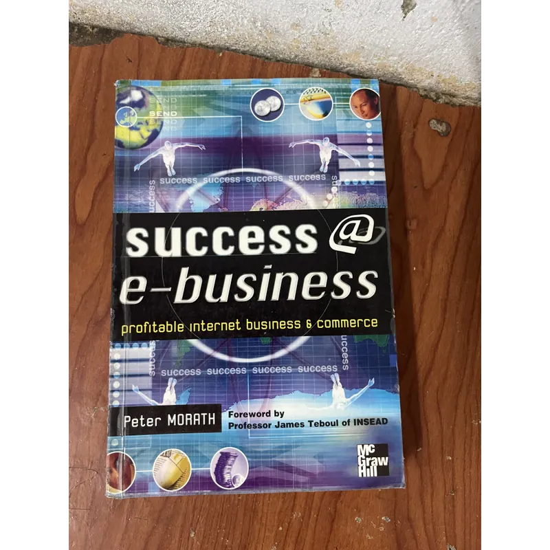 SUCCESS @ e-BUSINESS- PETER MORATH 734945