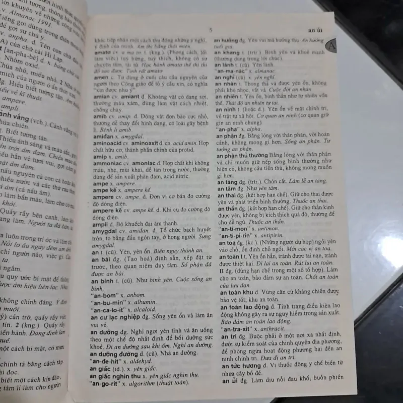 Từ điển Tiếng Việt 994123