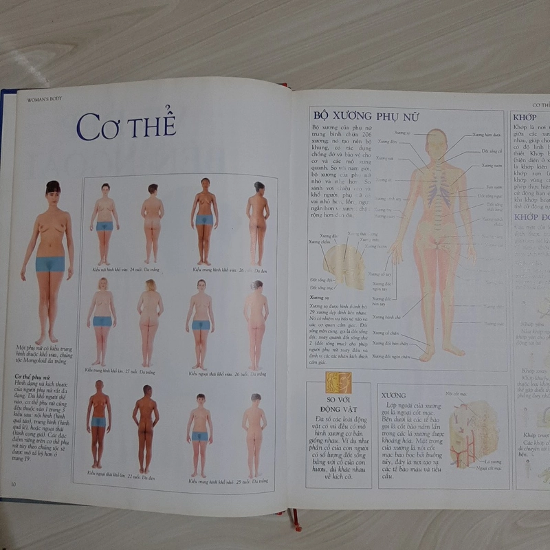 Cơ thể nữ giới 323998