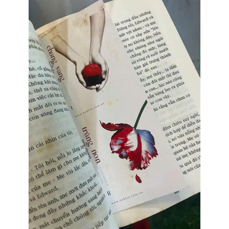 CHẠNG VẠNG, NHẬT THỰC, HỪNG ĐÔNG - TỊNH THỦY dịch 734855