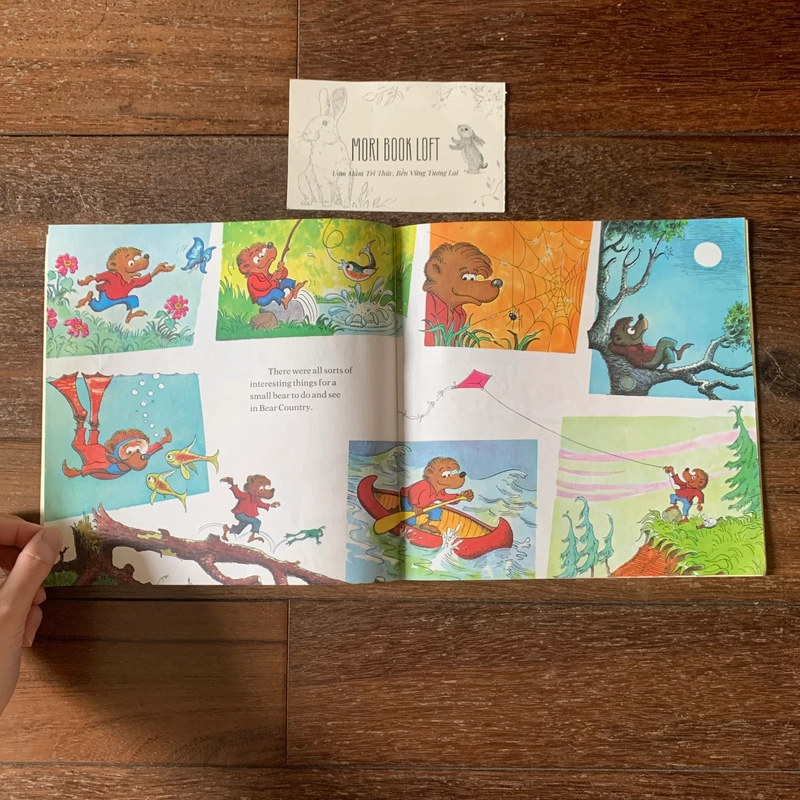 Sách ngoại văn The Berenstain Bears' New Baby, Used 498056