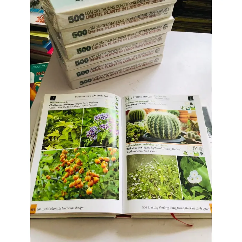 📚 500 LOÀI CÂY THƯỜNG DÙNG TRONG THIẾT KẾ CẢNH QUAN – Đinh Quang Diệp 601883