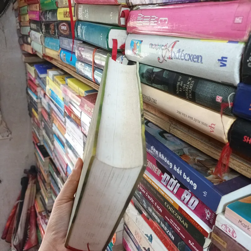 Hai Mươi Năm Sau- Alexandre Dumas 675191