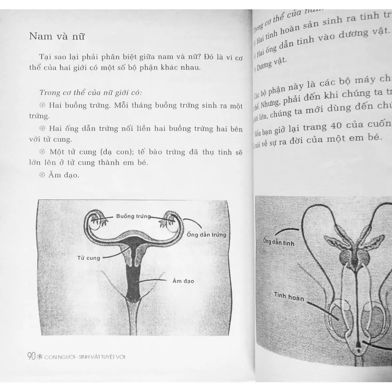 Con người - Sinh vật tuyệt vời 562128
