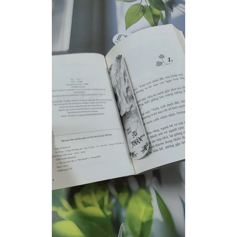 Tư Phàm - Công Tử Hoan Hỉ 744703