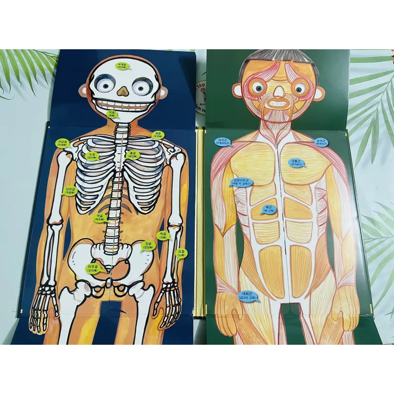 아하! 재미있는 인체학습 – 우리 몸 알기  720355