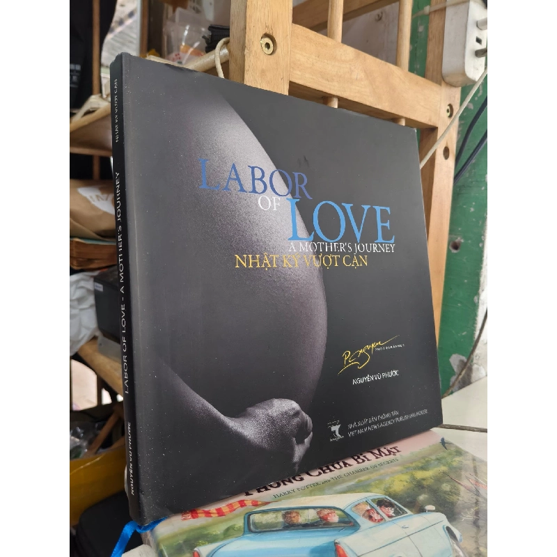 Labor of love: Nhật ký vượt cạn - Nguyễn Vũ Phước 1009115