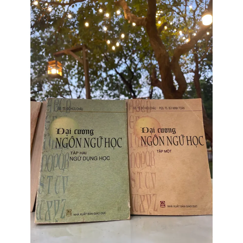 ĐẠI CƯƠNG NGÔN NGỮ HỌC (2 TẬP) - ĐỖ HỮU CHÂU  1028724