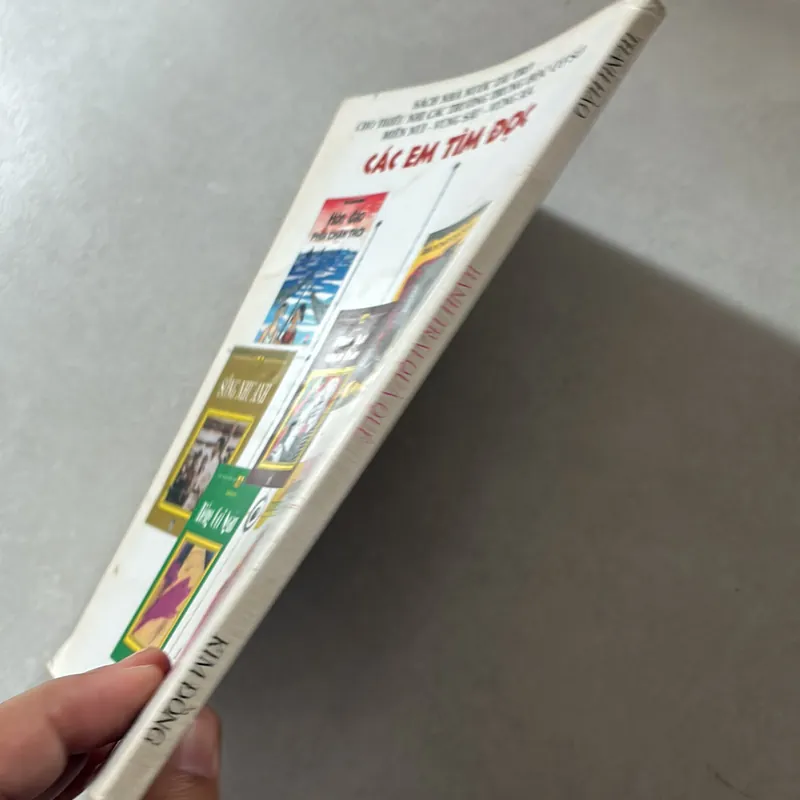 Bánh trái mùa quê - Thanh Hào 738549