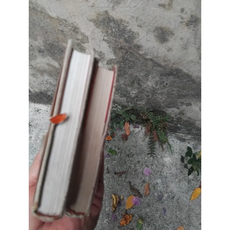 Đất vỡ hoang của Mikhail Solokhov 1031382