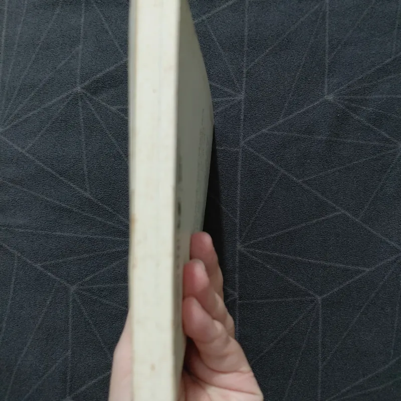 "Quá trẻ để chết: Hành trình nước Mỹ" - Đinh Hằng 1019926