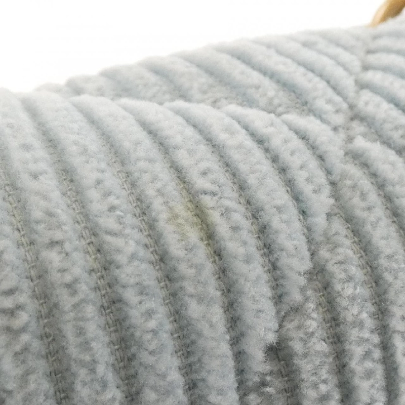 Chanel Chanel 19 Dòng AS1160 Túi đeo vai 613031