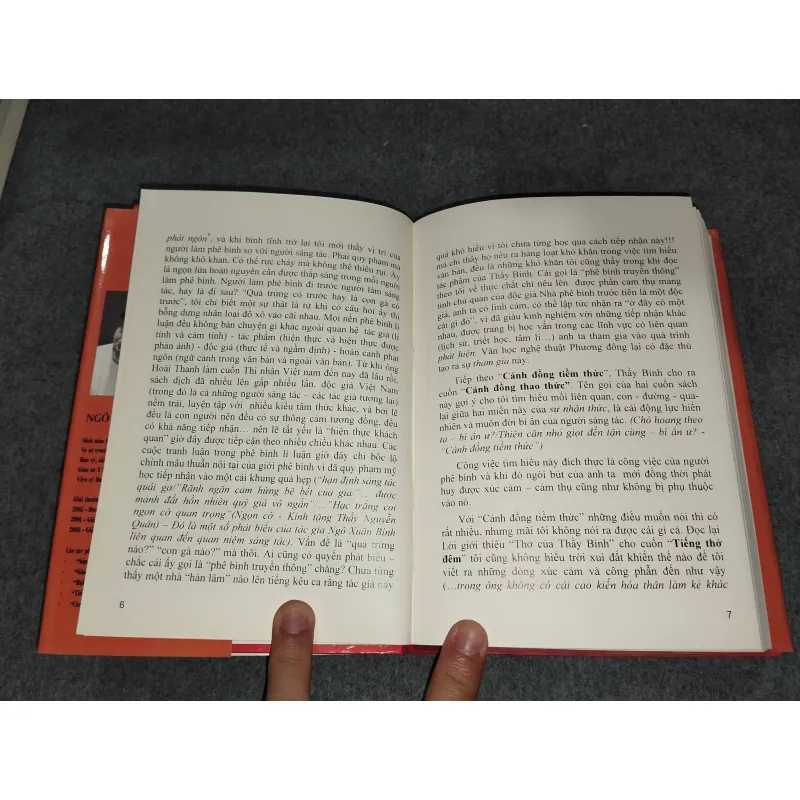 CÁNH ĐỒNG THAO THỨC - NGÔ XUÂN BÍNH 729325