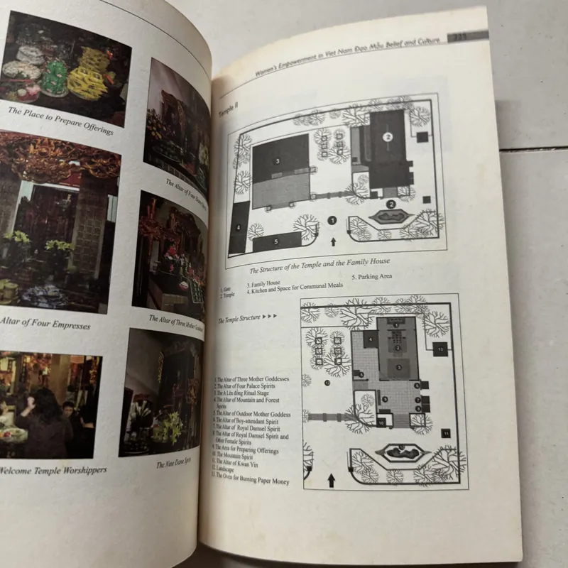 Đạo mẫu Việt Nam 699351